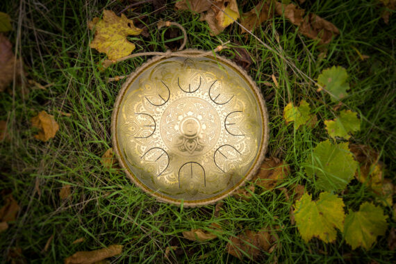 guda gubarev drum gold overtone watrelily01