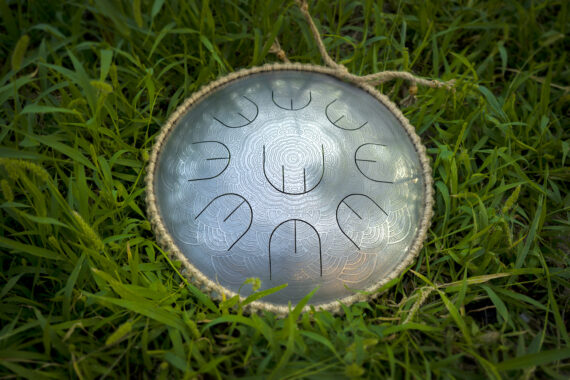 Overtone Plus Dandelion 03